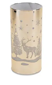 LED Tall Silver Glass Tube with Reindeer Scene