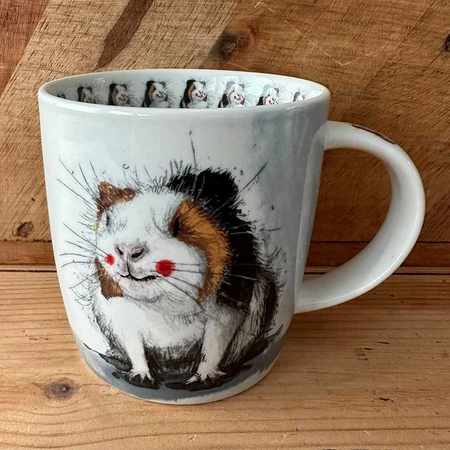 M81 Guinea Pigs Mug