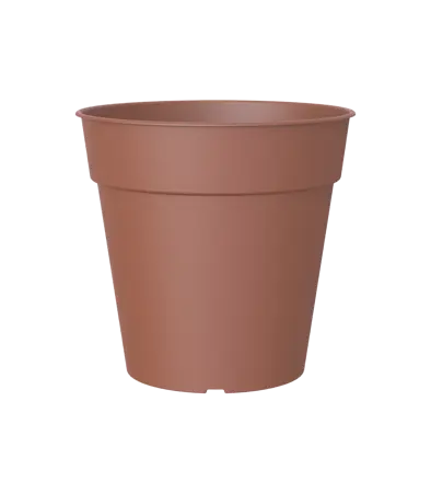 Madagascar To Grow Pot Terracotta 13cm