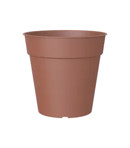 Madagascar To Grow Pot Terracotta 19cm