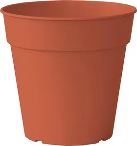 Madagascar To Grow Pot 7,5Cm Terracotta