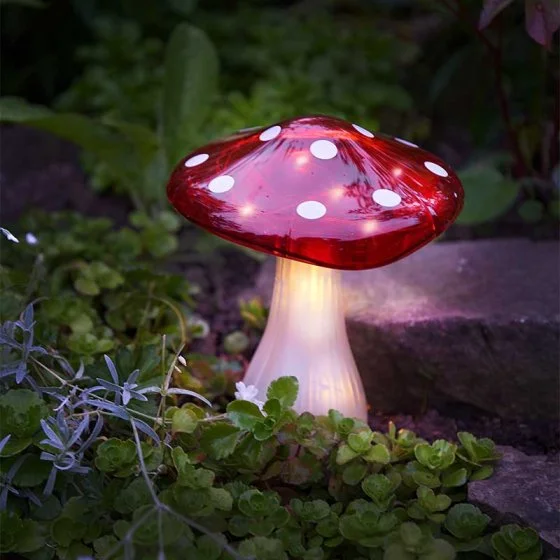 Magic Mega Mushroom