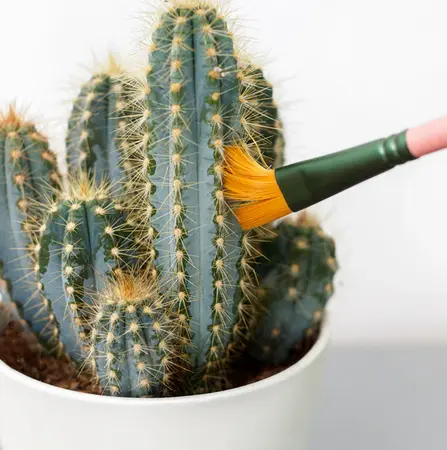 Mini Cactus Cleaners - image 2