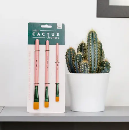 Mini Cactus Cleaners - image 1