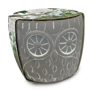 Novelty Owl Planter 5-6