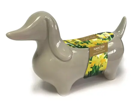 Novelty Sausage Dog Planter 10-11