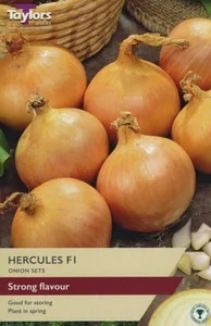 Onion Hercules F1 14-21 PP