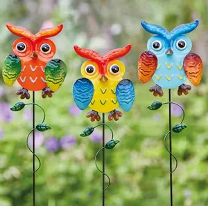 Owlet Loony Stakes Mixed Case