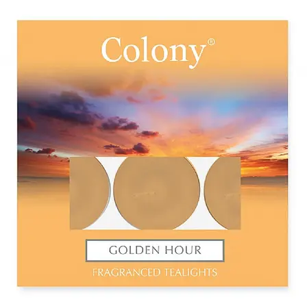 Pack of 9 Tealights Golden Hour Colony