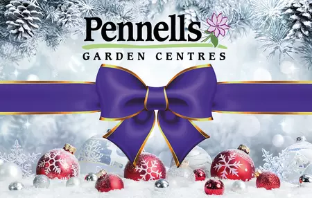 Pennells Gift Card £15 Xmas