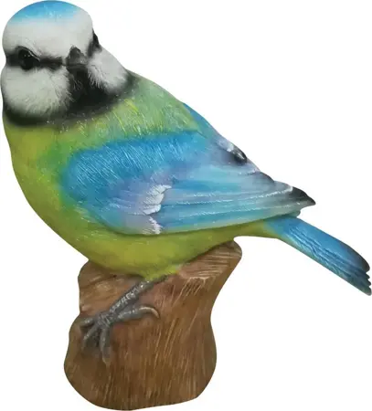 Perched Blue Tit