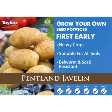 Potato Carripack Pentland Javelin 35-60 2Kg