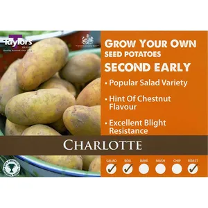 Potato Charlotte 35-60 2Kg