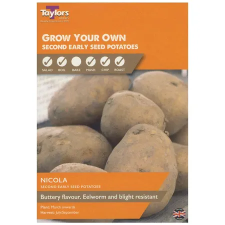 Potato Nicola 30-45 P/P