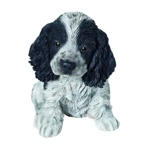 PP Black/White Cocker Spaniel Pup F