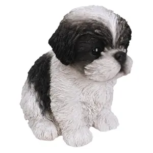 PP ShihTzu Puppy B/W F Box - image 2