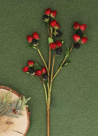 Raspberry/Blackberry Stem