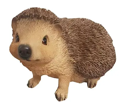 Real Life Hedgehog D