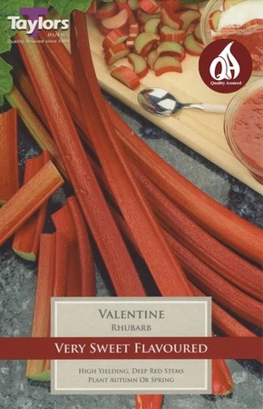 Rhubarb Valentine