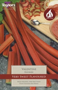 Rhubarb Valentine P/P