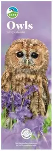 RSPB Owls Slim Calendar 2025 (PFP)