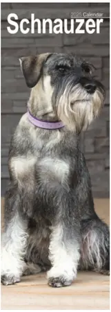 Schnauzer Slim Calendar 2025 (PFP)