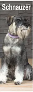 Schnauzer Slim Calendar 2025 (PFP)