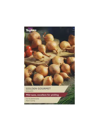 Shallot Golden Gourmet 7-14 P/P