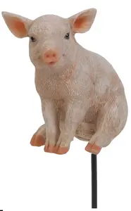 Sitting Pig Plant Pal