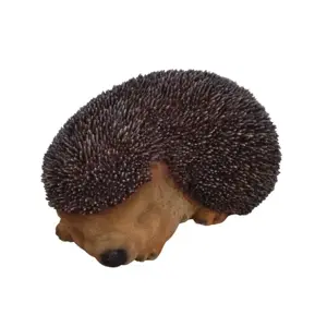 Sleeping Baby Hedgehog