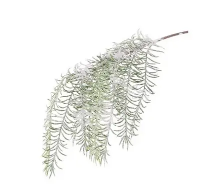 Snowy Asparagus Spray 58cm