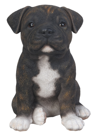 PP Staffordshire Puppy Brindle