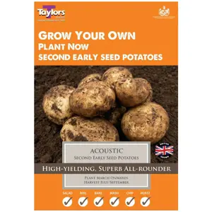 Taylors 10 Acoustic Second Early Seed Potatoes