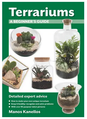 Terrariums - A Beginner's Guide