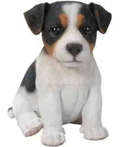 Tri Colour Jack Russell Pup Size F