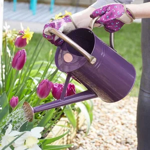 Watering Can - Violet 4.5L - image 2