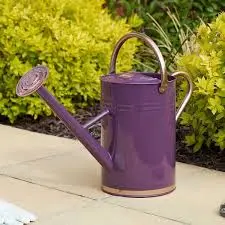 Watering Can - Violet 9L - image 2