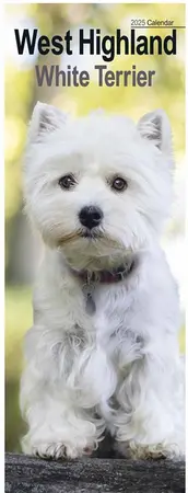 West Highland White Terrier Slim Calendar 2025 (PFP)