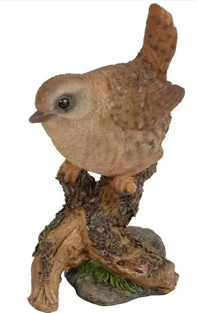 Wild British Birds Wren on a Stump