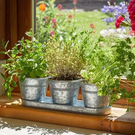 Windowsill Herb Pots - Galvanised - image 1