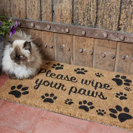 Wipe Your Paws 45 x 75 cm